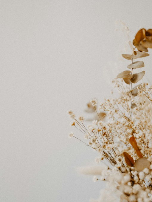 annie-spratt-p_gmESo9Fco-unsplash A cluster of dried flowers and leaves in neutral tones is displayed against a plain, light-colored background, positioned on the right side of the image.