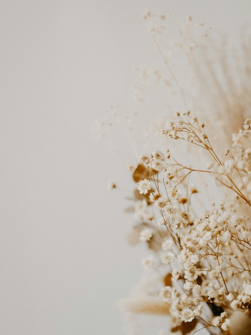 annie-spratt-zo7-ZyvplAI-unsplash Close-up of delicate dried baby's breath flowers against a neutral, light background, with the flowers positioned on the right side of the image.