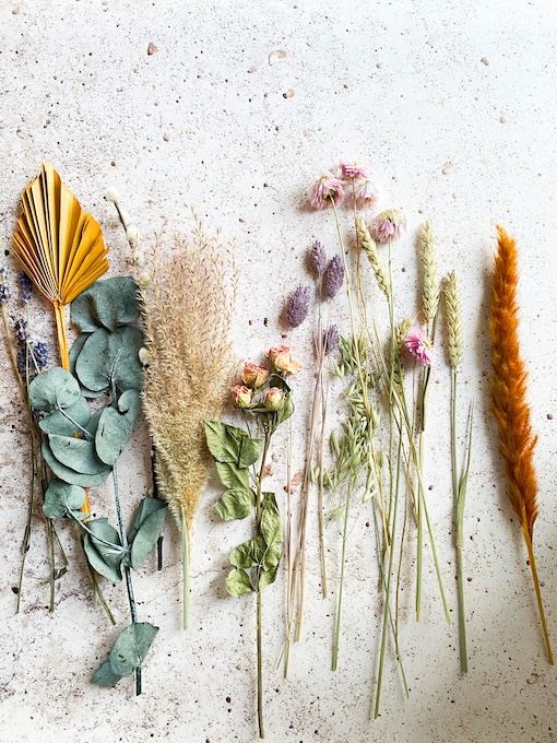 micheile-henderson-XPCdZXncj64-unsplash Assorted dried flowers, grasses, and leaves arranged in a row on a textured, light-colored surface.